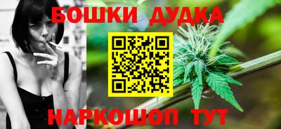 мдпв Обь