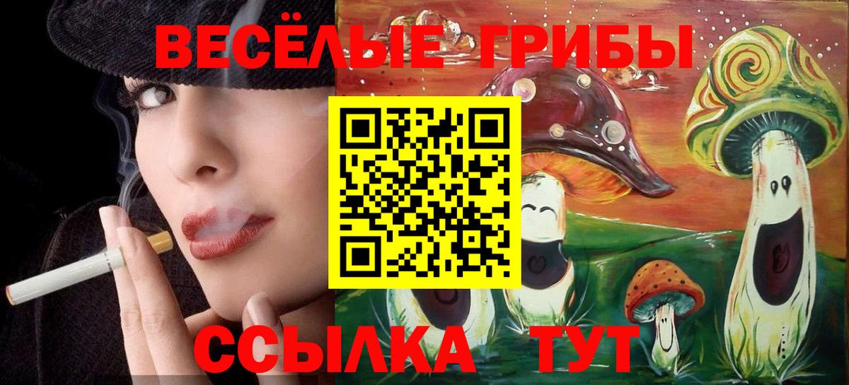 Псилоцибиновые грибы GOLDEN TEACHER  Вход с VPN  Татарск 